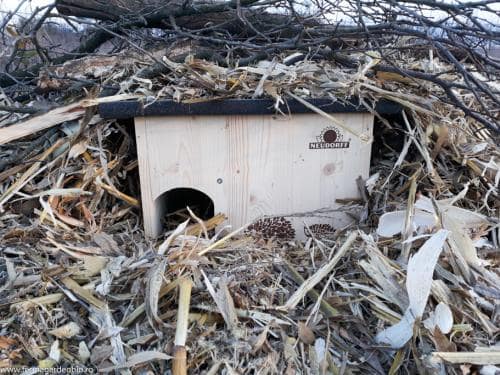 Adăpost pentru arici, unde va  hiberna peste iarnă