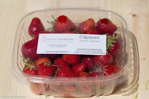 Căpșuni în caserolă biodegradabilă