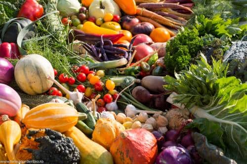 Recoltă de legume și fructe 