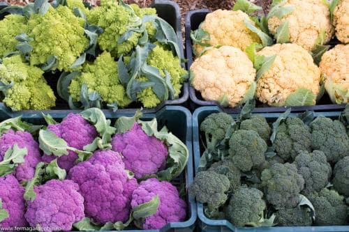 Broccoli și conopidă