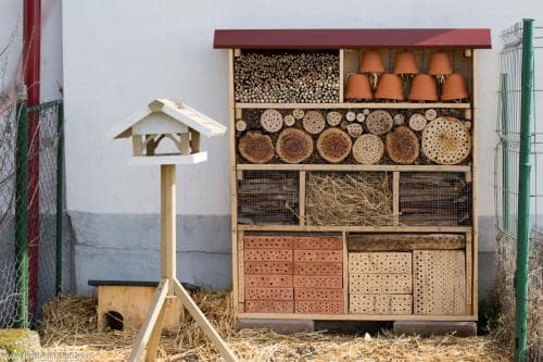 Hotel pentru insecte