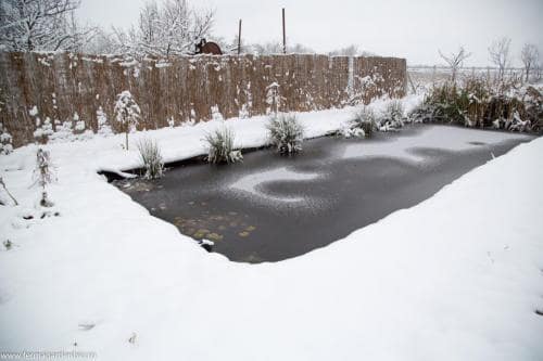 Natura intră în hibernare