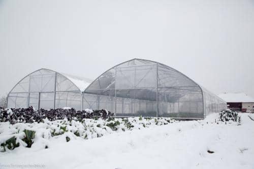 Solar multitunel finalizat înainte de prima zăpadă 