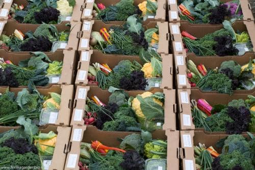 1800 coșuri cu legume livrate în 2019